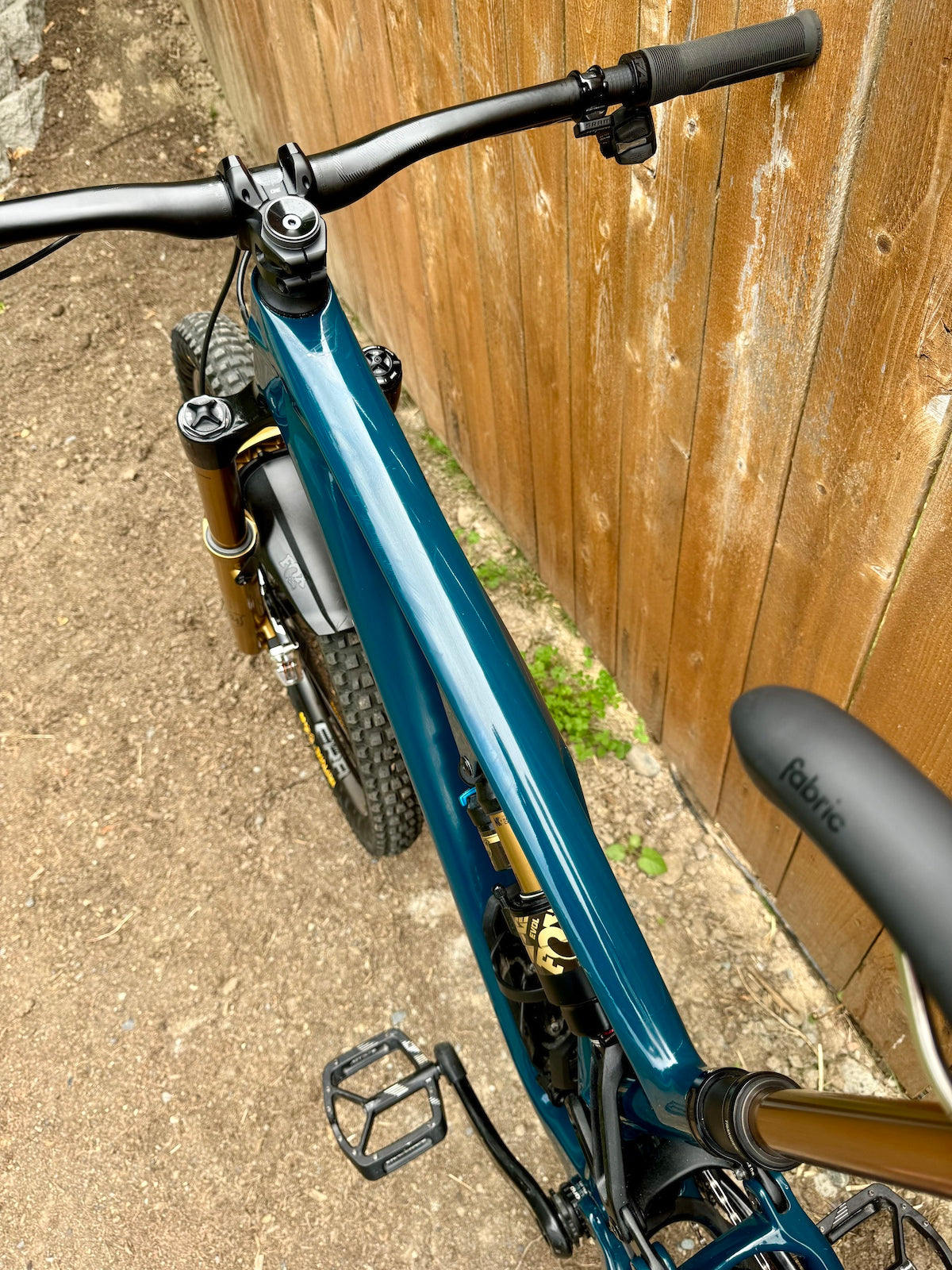 2023 Stumpjumper Evo - Fox Gold - XX Transmission - MX S3