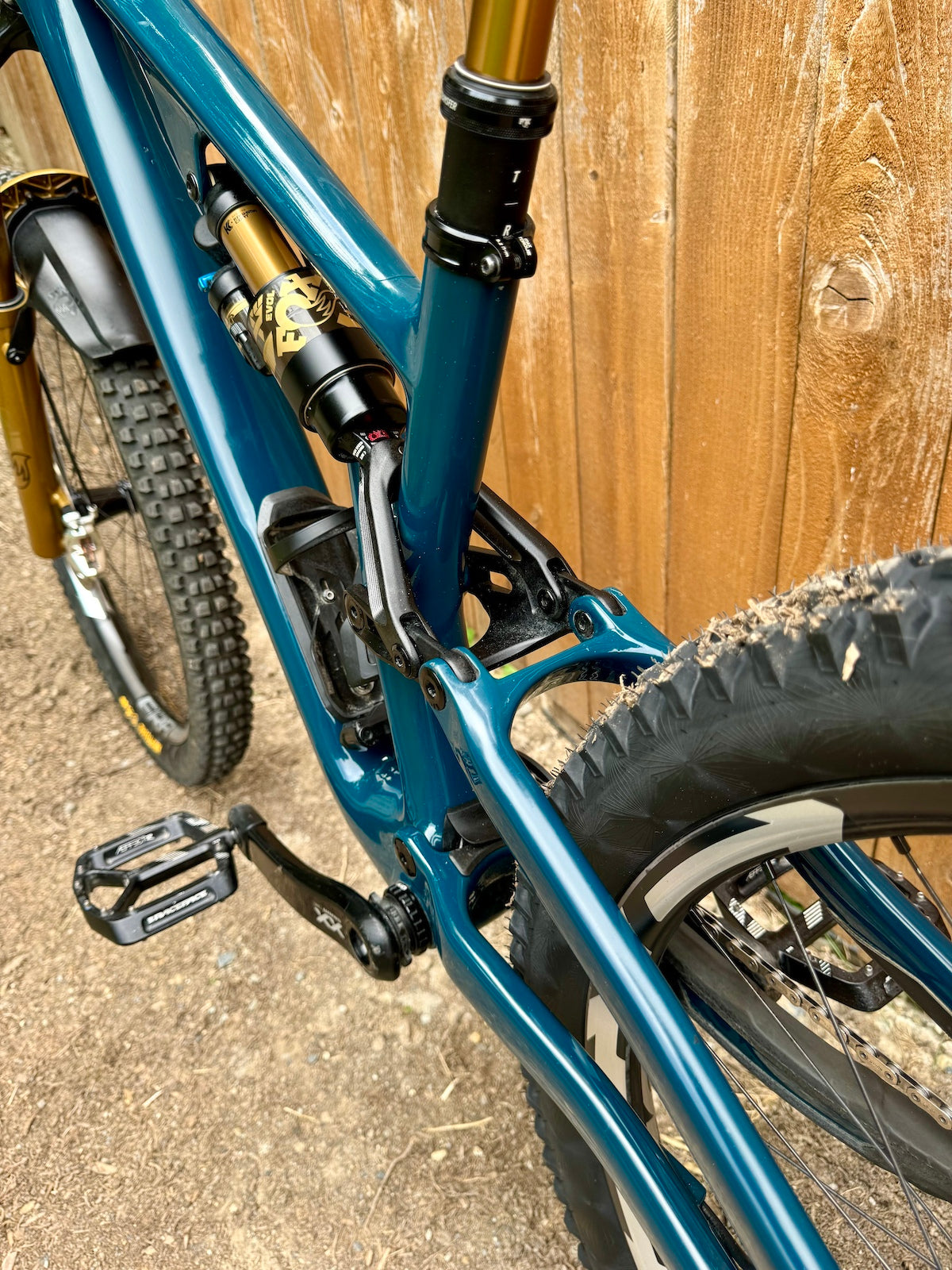 2023 Stumpjumper Evo - Fox Gold - XX Transmission - MX S3