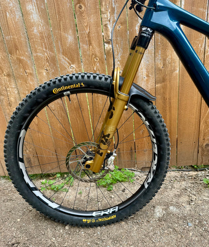 2023 Stumpjumper Evo - Fox Gold - XX Transmission - MX S3