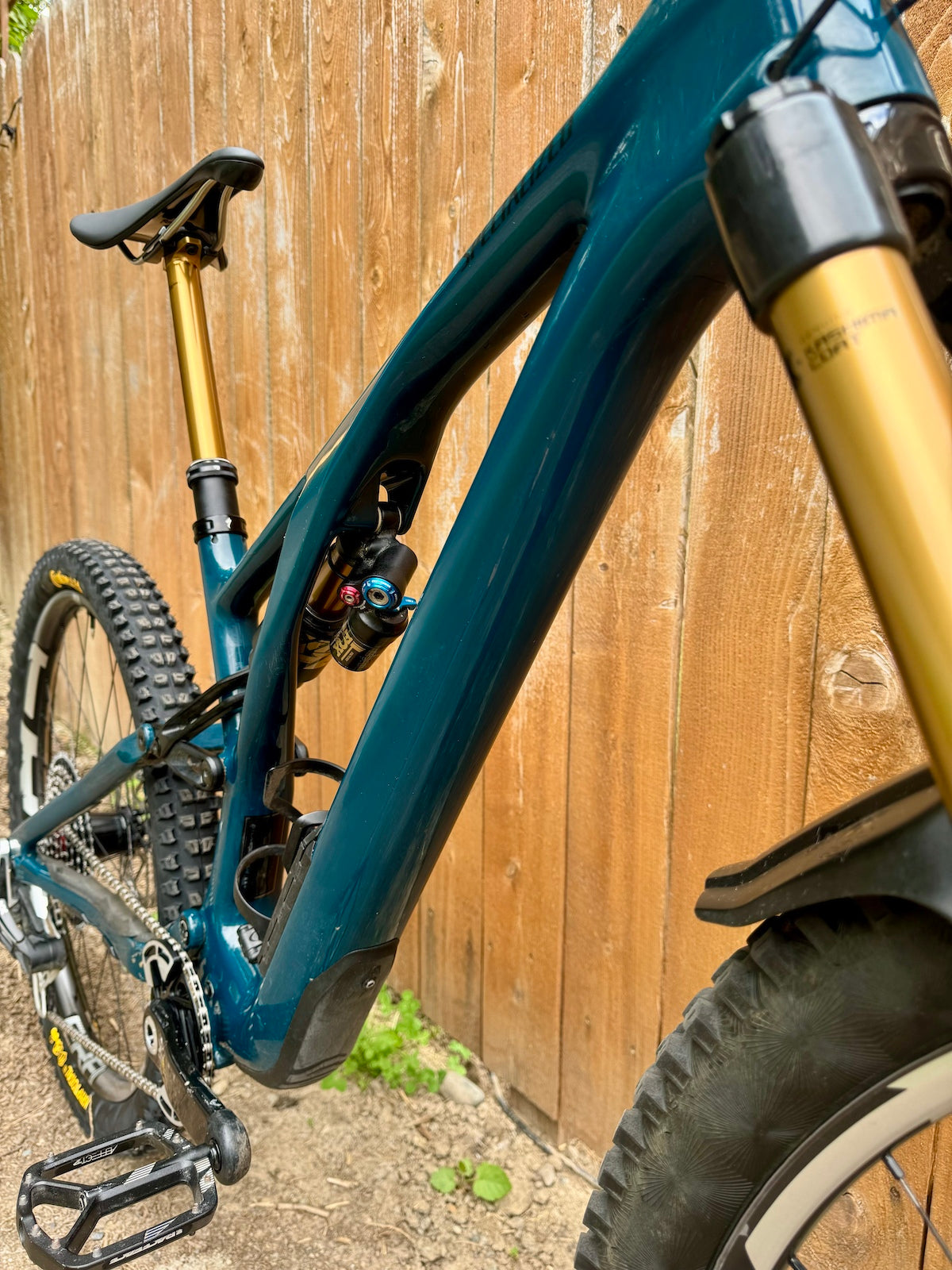 2023 Stumpjumper Evo - Fox Gold - XX Transmission - MX S3